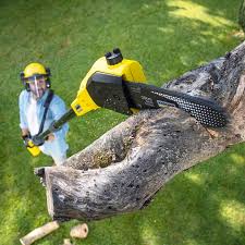 Best Landscape Design and Installation  in Edgewater, NJ