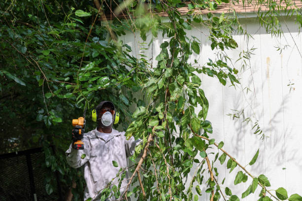 Best Tree Health Inspection  in Edgewater, NJ